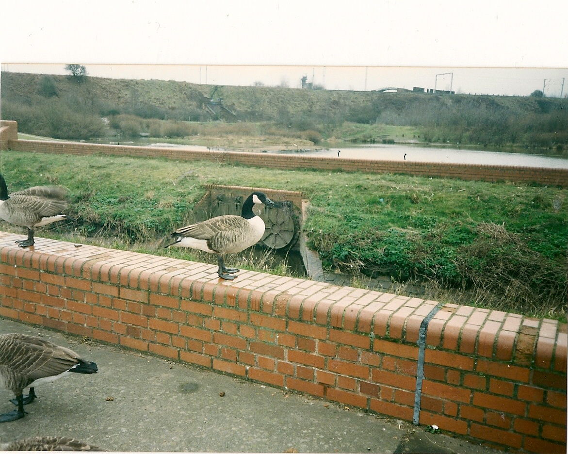 scan0004